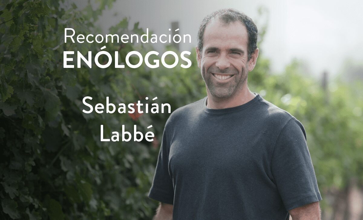 Enólogo Sebastián Labbé