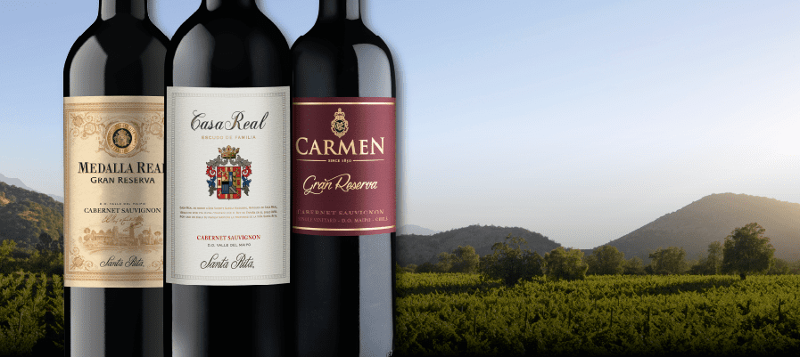 Cabernet Sauvignon: La cepa icónica de los tintos chilenos