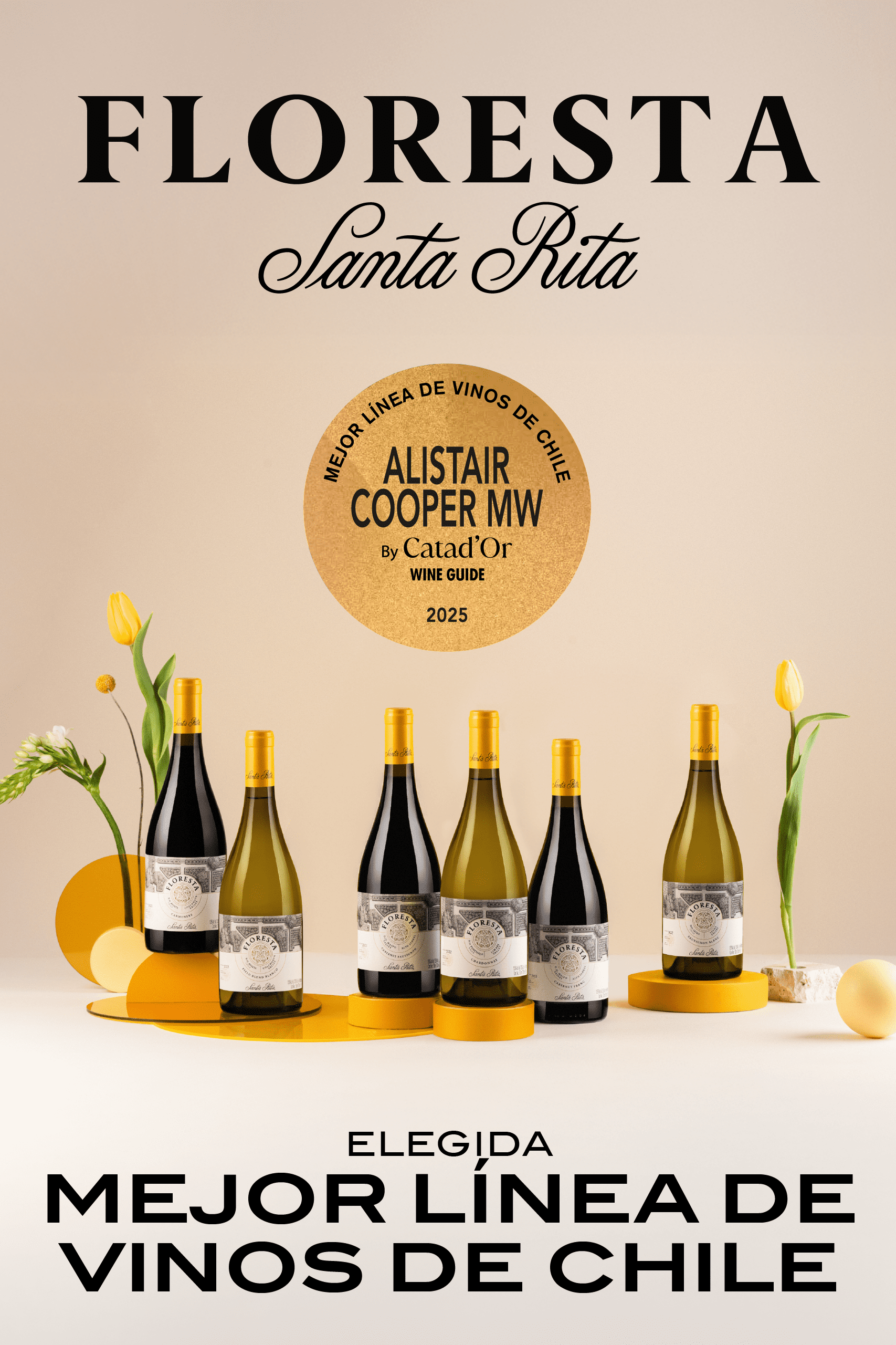 https://santaritaonline.com/wp-content/uploads/2025/09/Mesa-de-trabajo-2.png