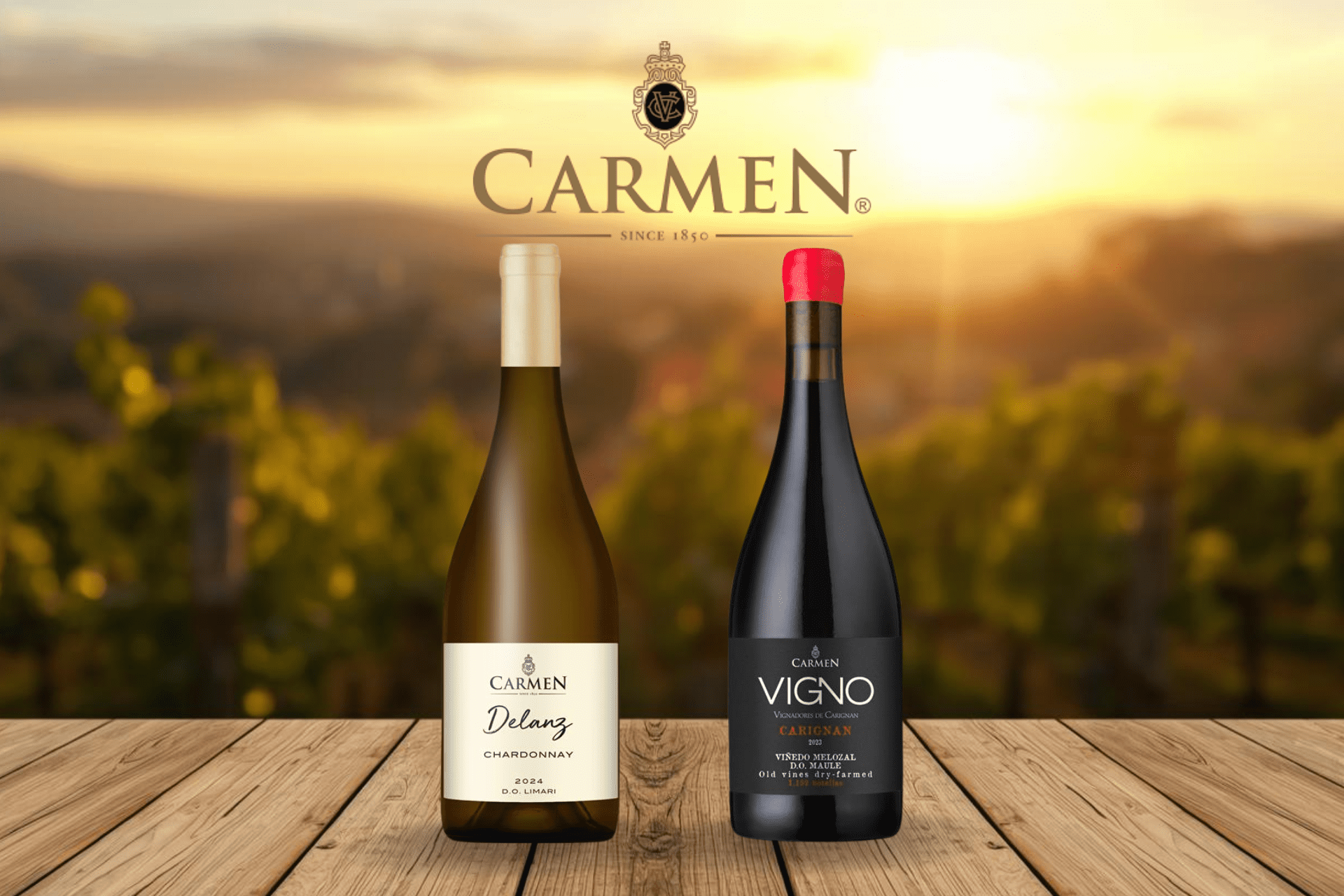 Carmen Delanz Chardonnay 2024 y Carmen VIGNO 2023