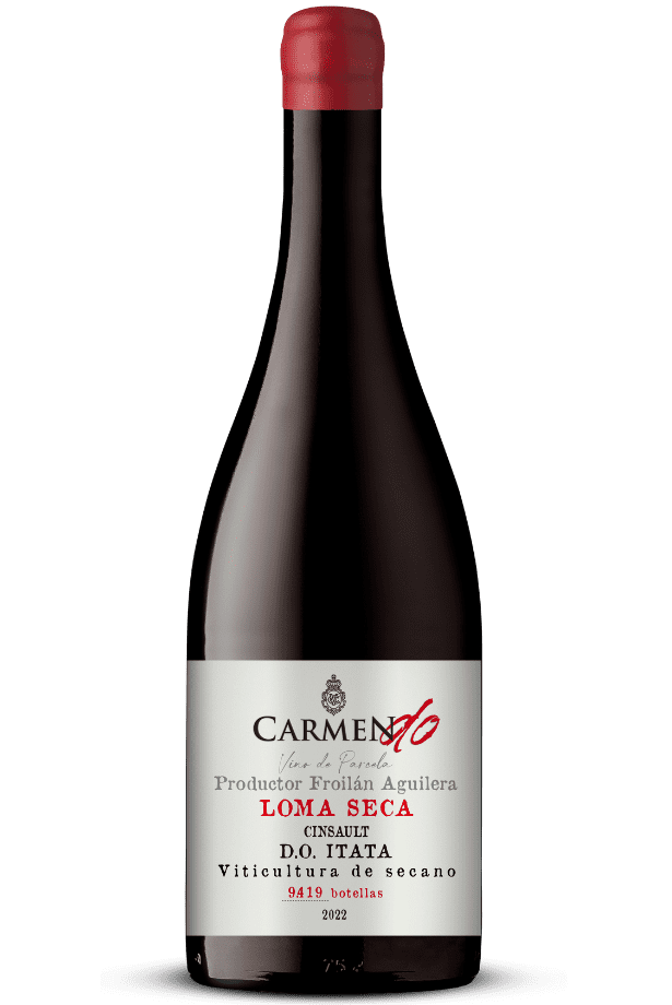 Botella Carmen Do Matorral Chileno