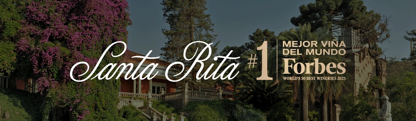 Viña Santa Rita reconocida como mejor viña por Forbes
