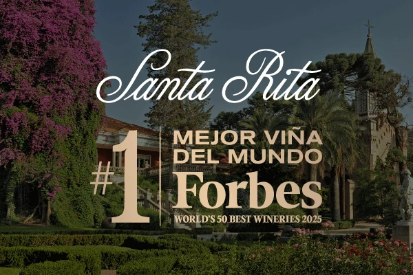 Santa Rita elegida Mejor Viña del Mundo por Forbes