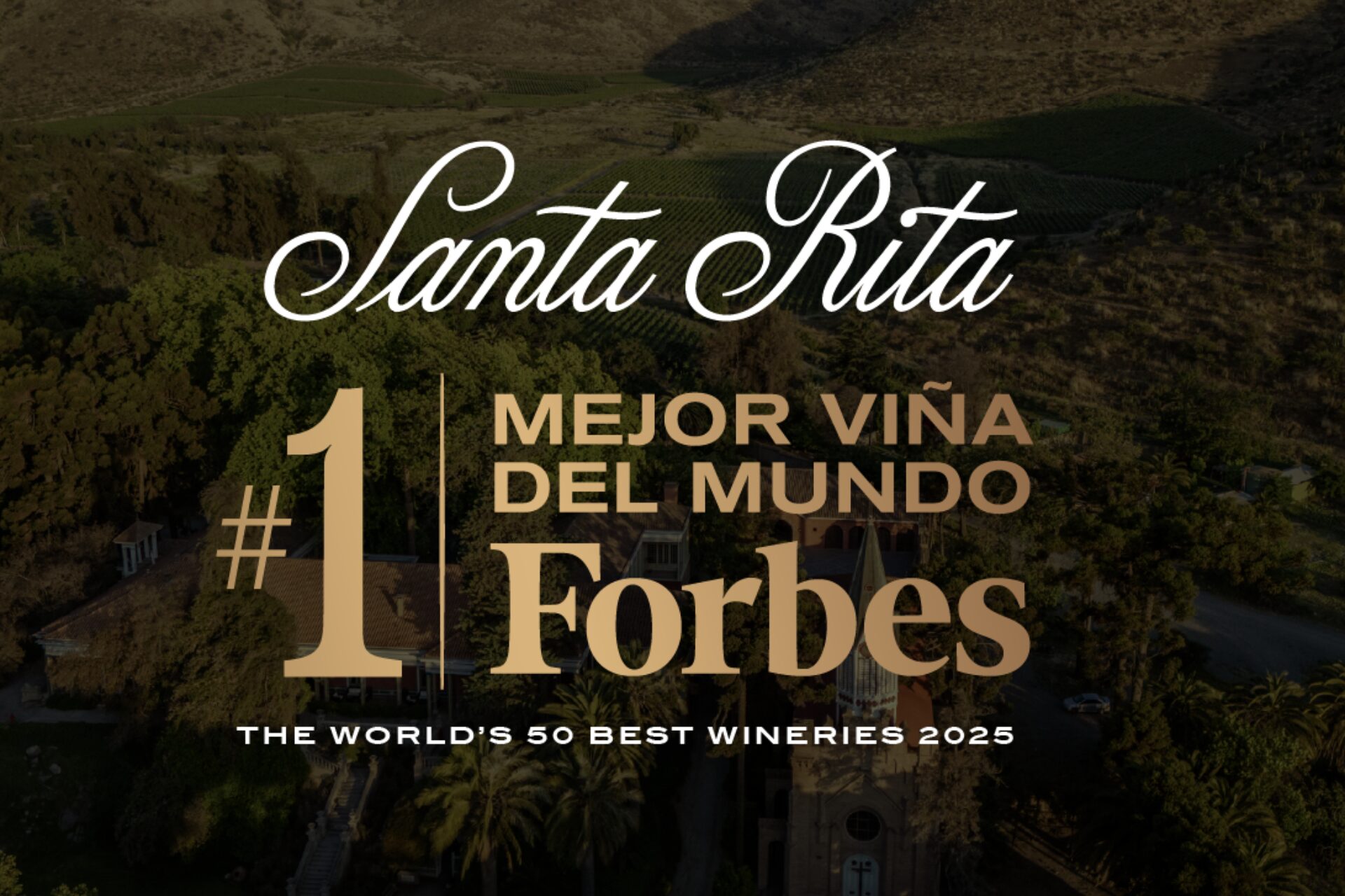Santa Rita mejor viña del mundo según Forbes
