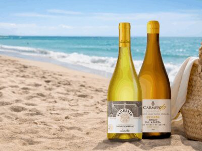 vinos de verano