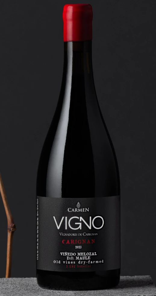 Botella Carmen Vigno