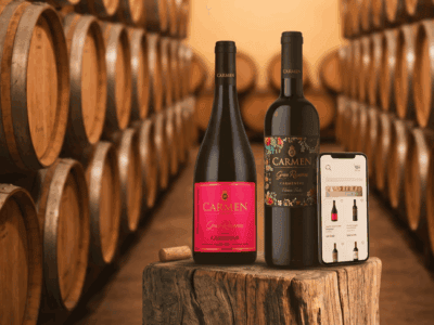 mejores páginas web para comprar vinos en Chile